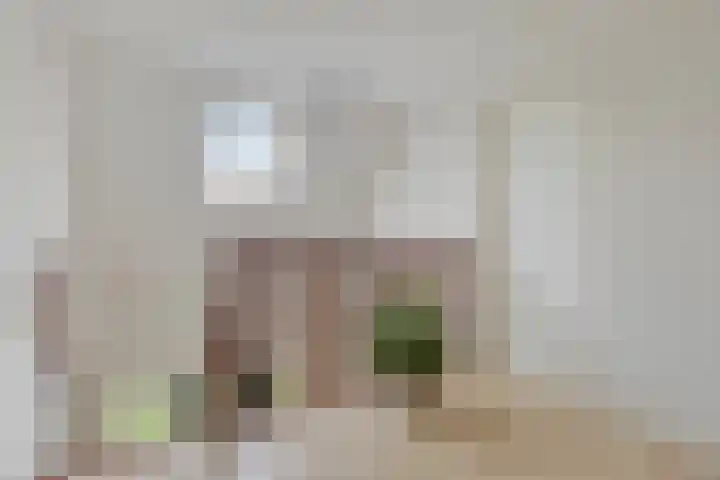 Buitensingel 91 Sappemeer thumbnail 20