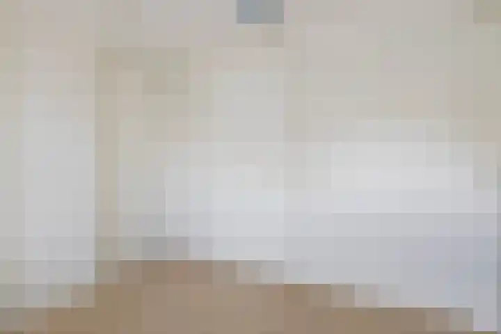 Buitensingel 91 Sappemeer thumbnail 21