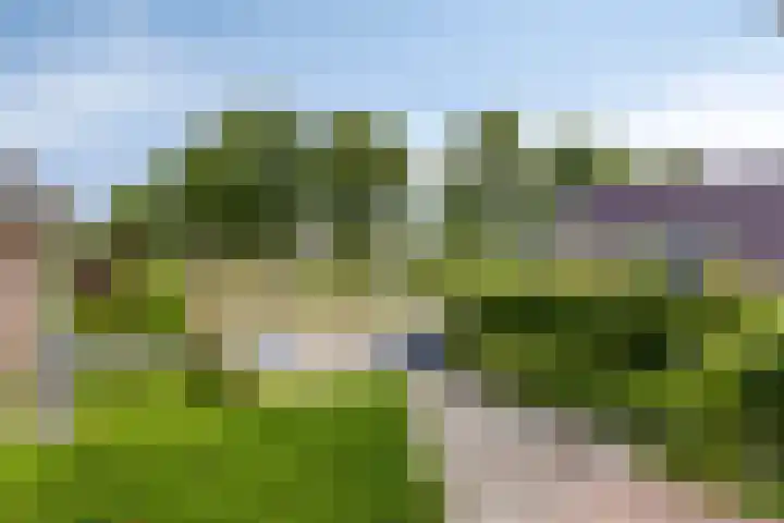 Buitensingel 91 Sappemeer thumbnail 34
