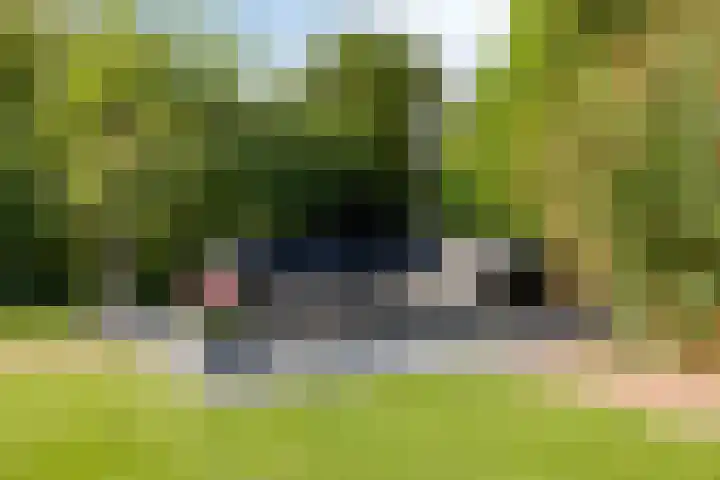 Buitensingel 91 Sappemeer thumbnail 36