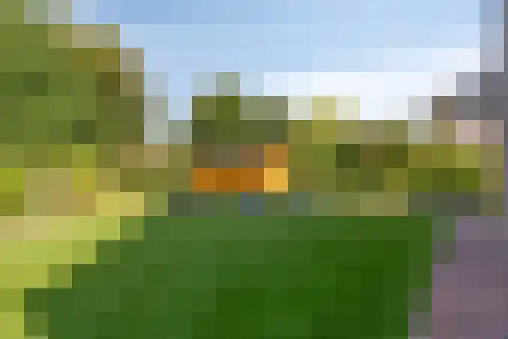 Buitensingel 91 Sappemeer thumbnail 37