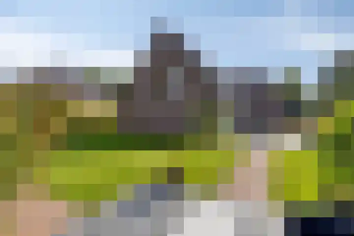 Buitensingel 91 Sappemeer thumbnail 38