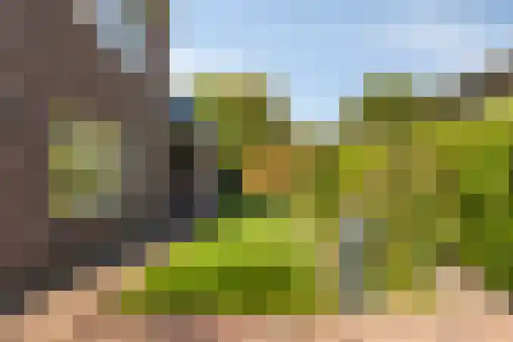 Buitensingel 91 Sappemeer thumbnail 41