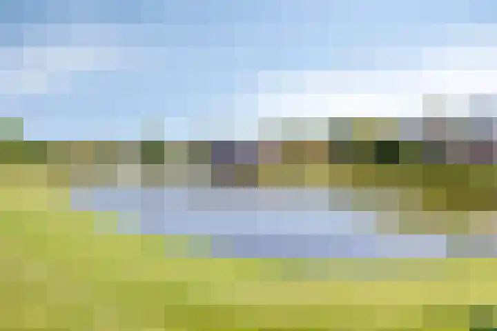 Buitensingel 91 Sappemeer thumbnail 44