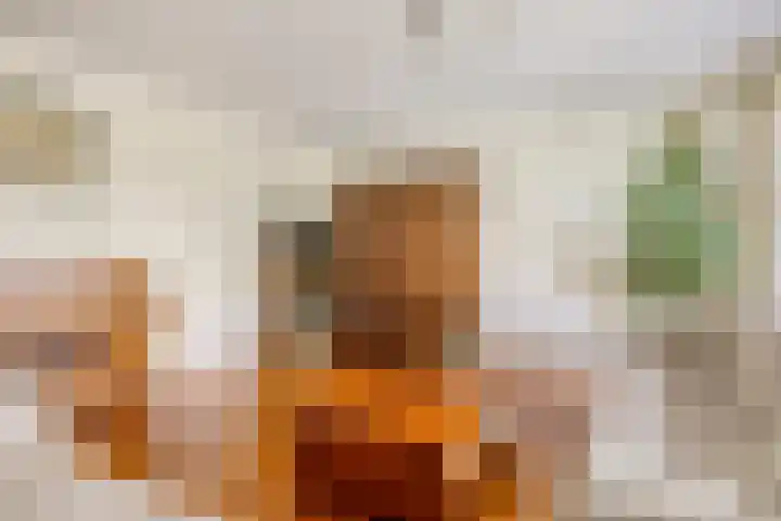 Buitensingel 91 Sappemeer thumbnail 5