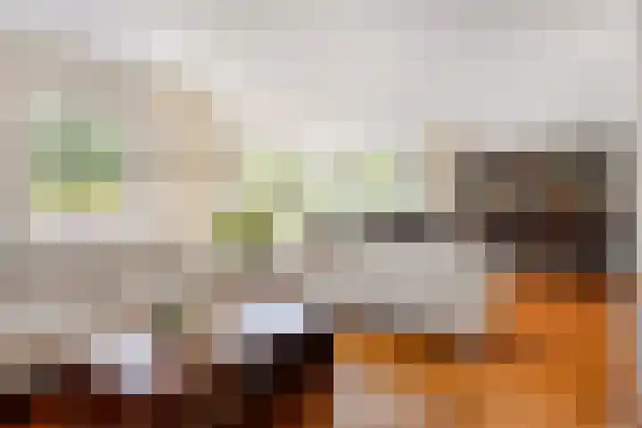 Buitensingel 91 Sappemeer thumbnail 6