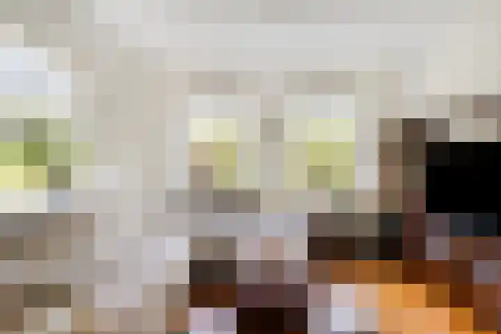 Buitensingel 91 Sappemeer thumbnail 7