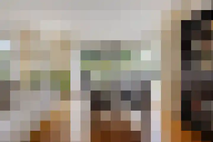 Buitensingel 91 Sappemeer thumbnail 8