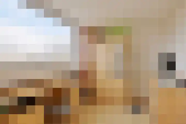 Buitentuin 50 Zaltbommel thumbnail 23