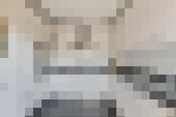 Buitenwal 2 Prinsenbeek thumbnail 13