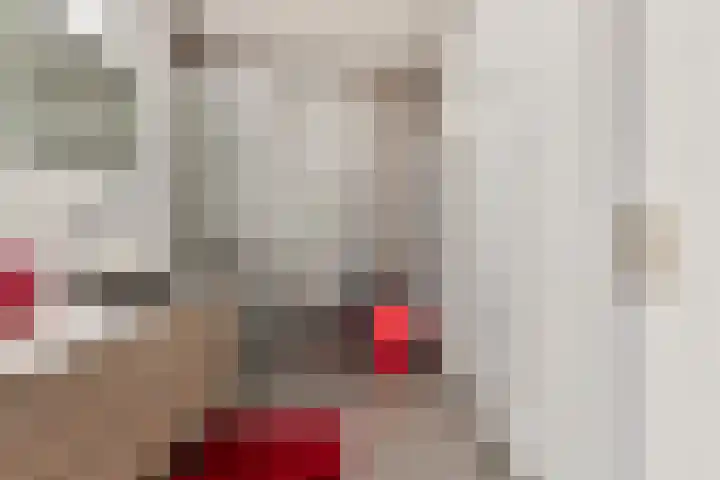 Buitenwal 2 Prinsenbeek thumbnail 18