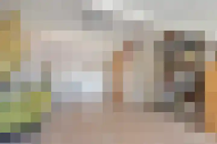 Buitenwal 2 Prinsenbeek thumbnail 21