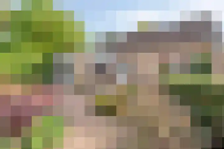 Buitenwal 2 Prinsenbeek thumbnail 24