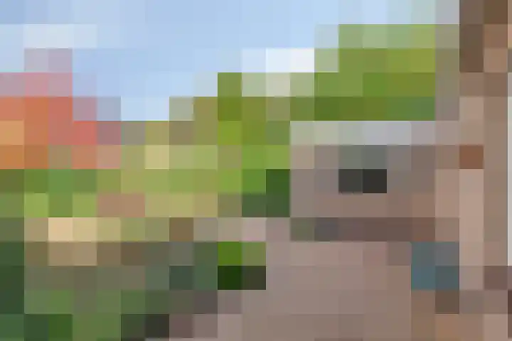 Buitenwal 2 Prinsenbeek thumbnail 25
