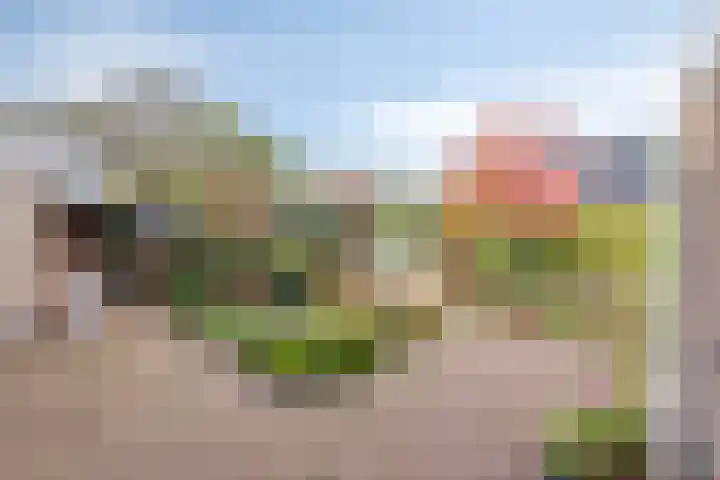 Buitenwal 2 Prinsenbeek thumbnail 27