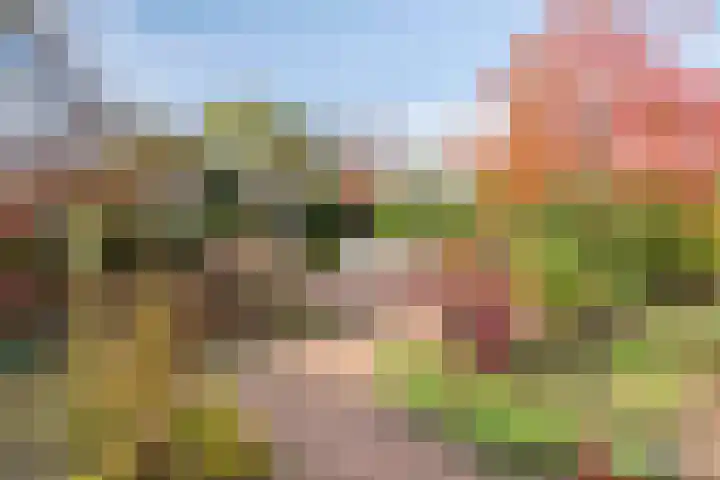 Buitenwal 2 Prinsenbeek thumbnail 28