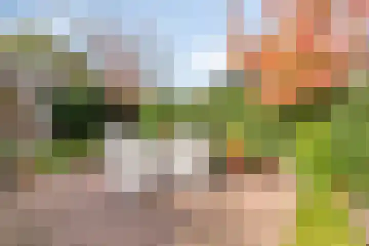 Buitenwal 2 Prinsenbeek thumbnail 29