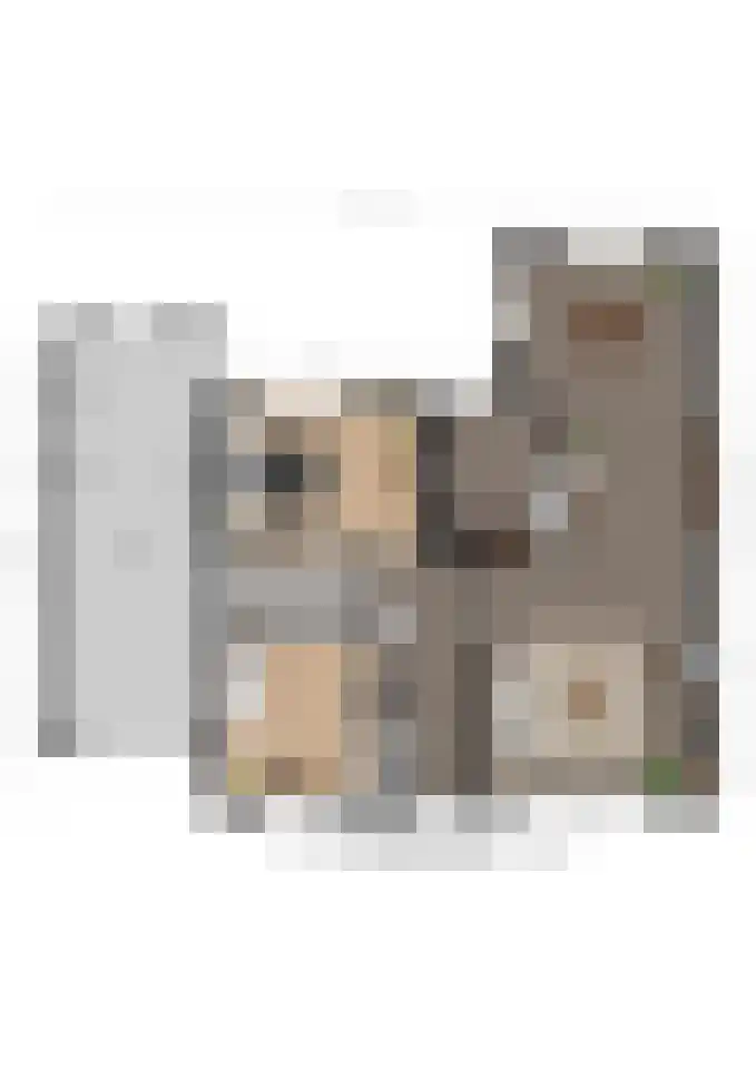 Buitenwal 2 Prinsenbeek thumbnail 33