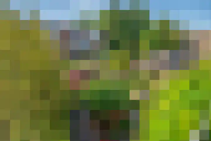Buitenwatersloot 209 Delft thumbnail 27