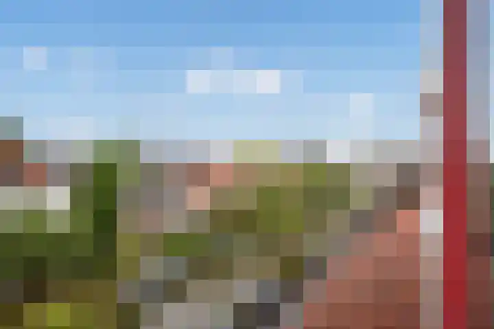 Buitenwatersloot 209 Delft thumbnail 43