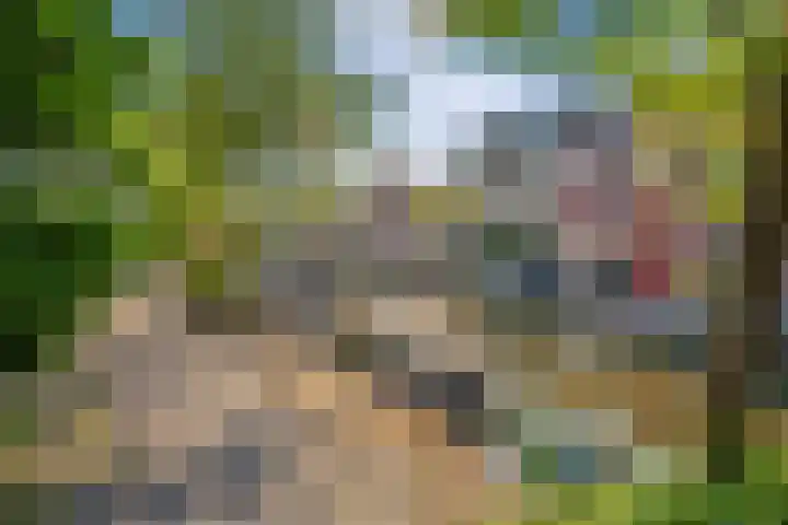 Buitenwatersloot 209 Delft thumbnail 47