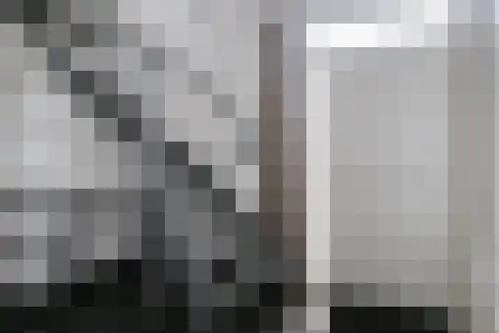 Buitenweg 2 Someren thumbnail 13
