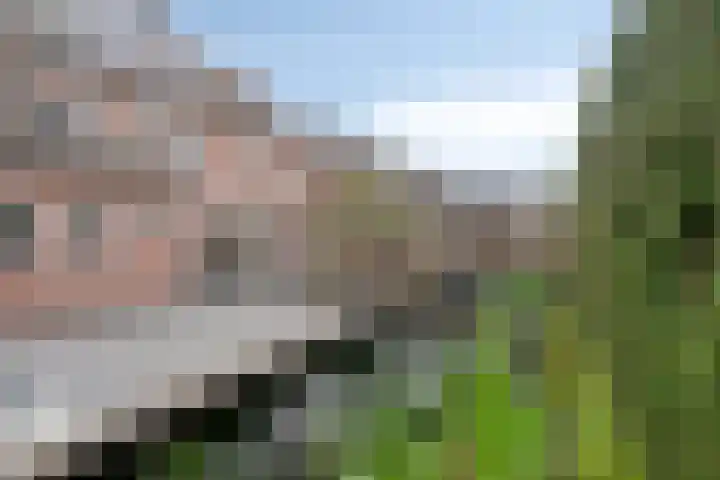 Buitenweg 2 Someren thumbnail 6