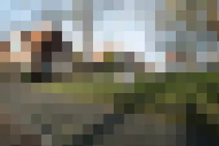 Buitenweg 32 Enschede thumbnail 7