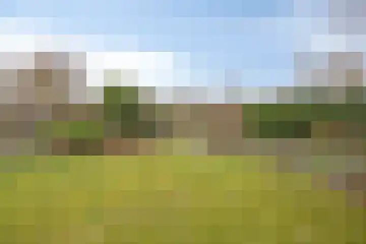Buitenweg 59 Emmen thumbnail 36