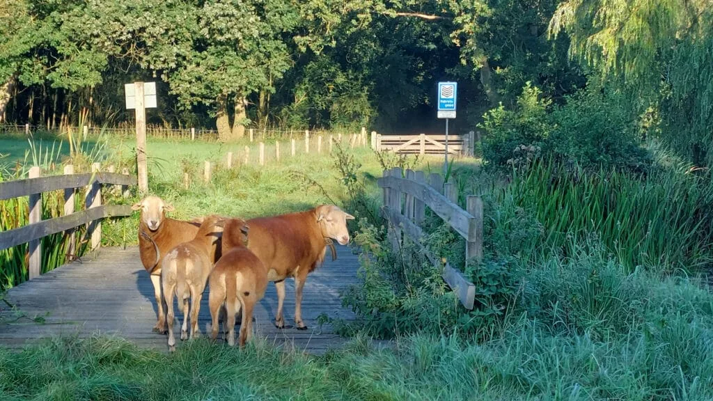 Team foto van Buitenwonen