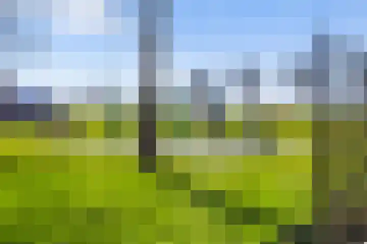 Buizenwerf 137 Rotterdam thumbnail 37