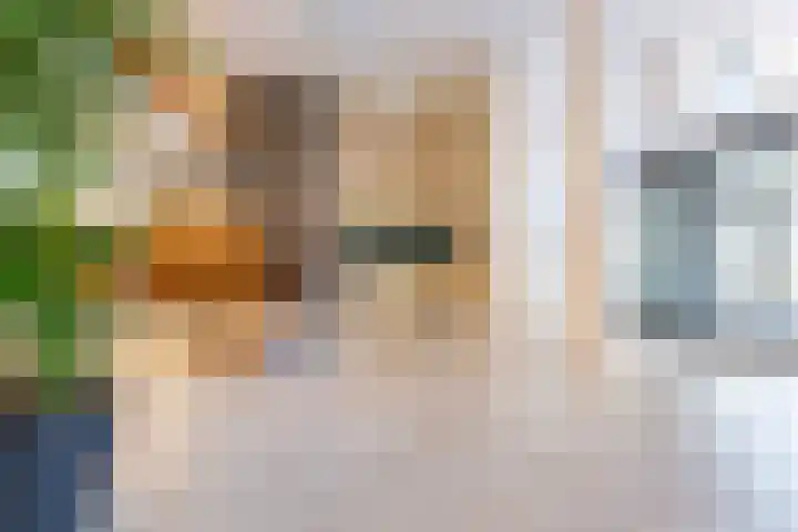 Buizenwerf 141 Rotterdam thumbnail 34