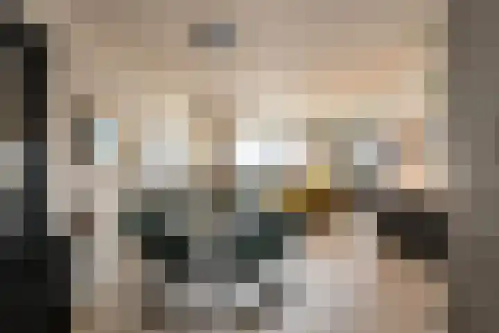 Buizenwerf 241 Rotterdam thumbnail 11
