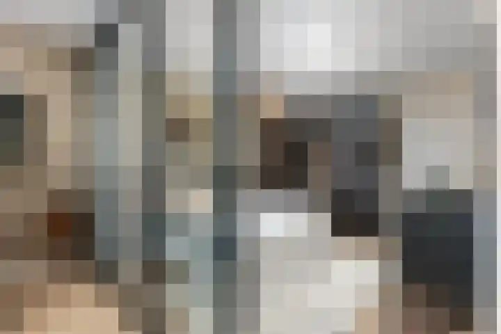 Buizenwerf 241 Rotterdam thumbnail 15