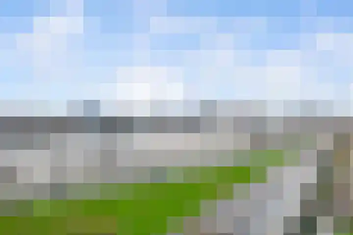 Buizenwerf 241 Rotterdam thumbnail 23