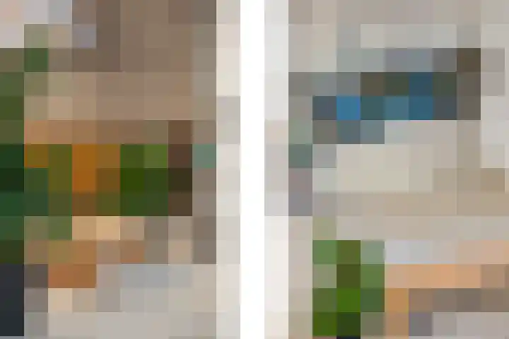 Buizenwerf 241 Rotterdam thumbnail 29