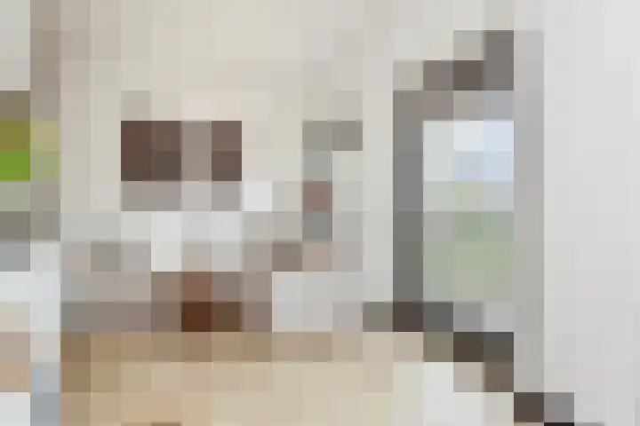 Buizerd 196 Veldhoven foto 2