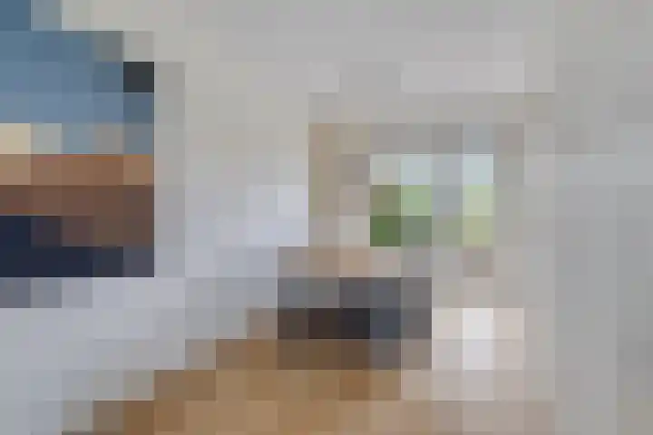 Buizerd 20 Baflo thumbnail 11