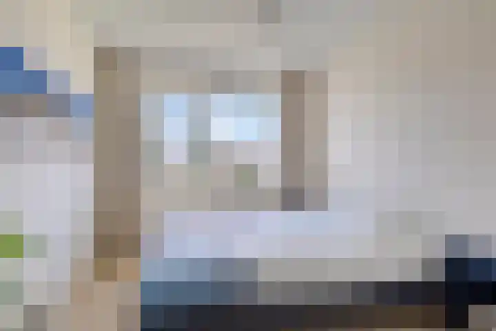 Buizerd 20 Baflo thumbnail 17