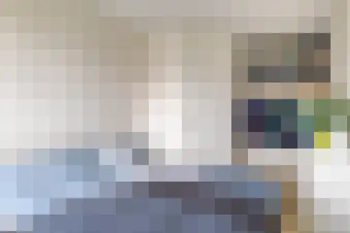 Buizerd 20 Baflo thumbnail 18