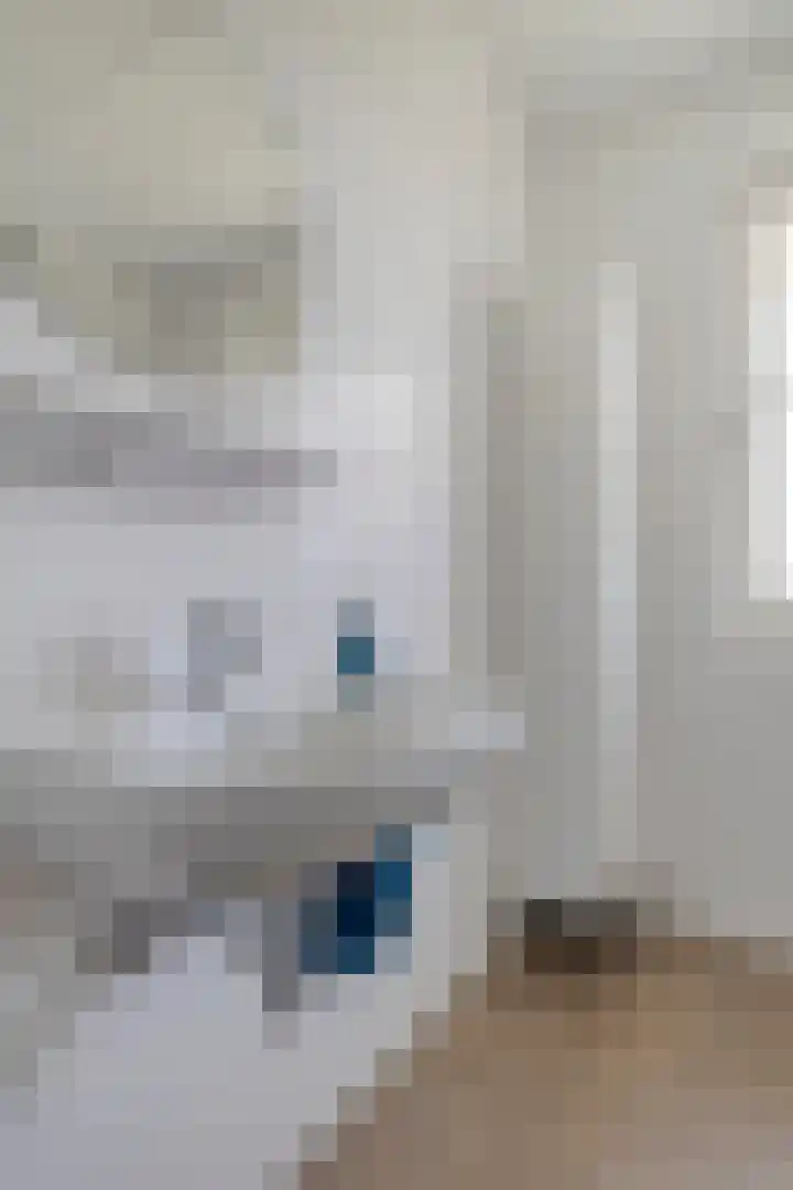 Buizerd 20 Baflo thumbnail 21