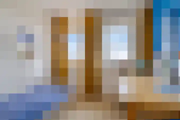 Buizerd 20 Baflo thumbnail 23