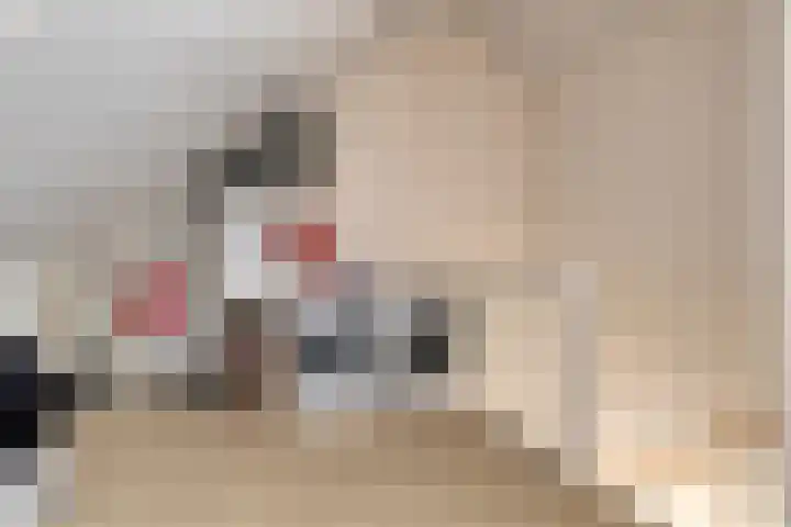 Buizerd 20 Baflo thumbnail 27