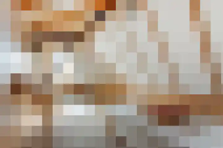 Buizerd 20 Baflo foto 3