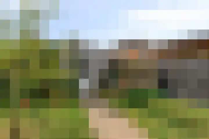 Buizerd 20 Baflo thumbnail 35