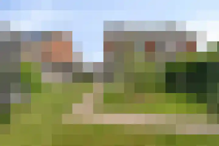 Buizerd 20 Baflo thumbnail 4