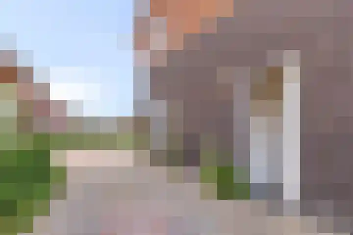 Buizerd 20 Baflo thumbnail 5