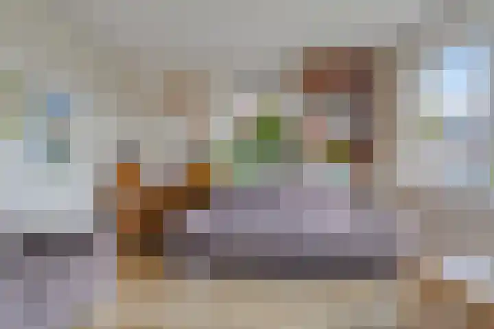 Buizerd 20 Baflo thumbnail 8