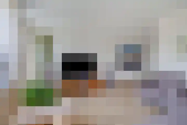 Buizerd 20 Baflo thumbnail 9