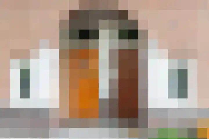 Buizerd 22 Baflo thumbnail 10